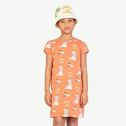 Babar Orange Flamingo Dress