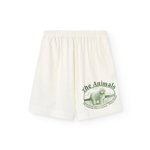 White Poodle Bermuda Mole Kids Shorts