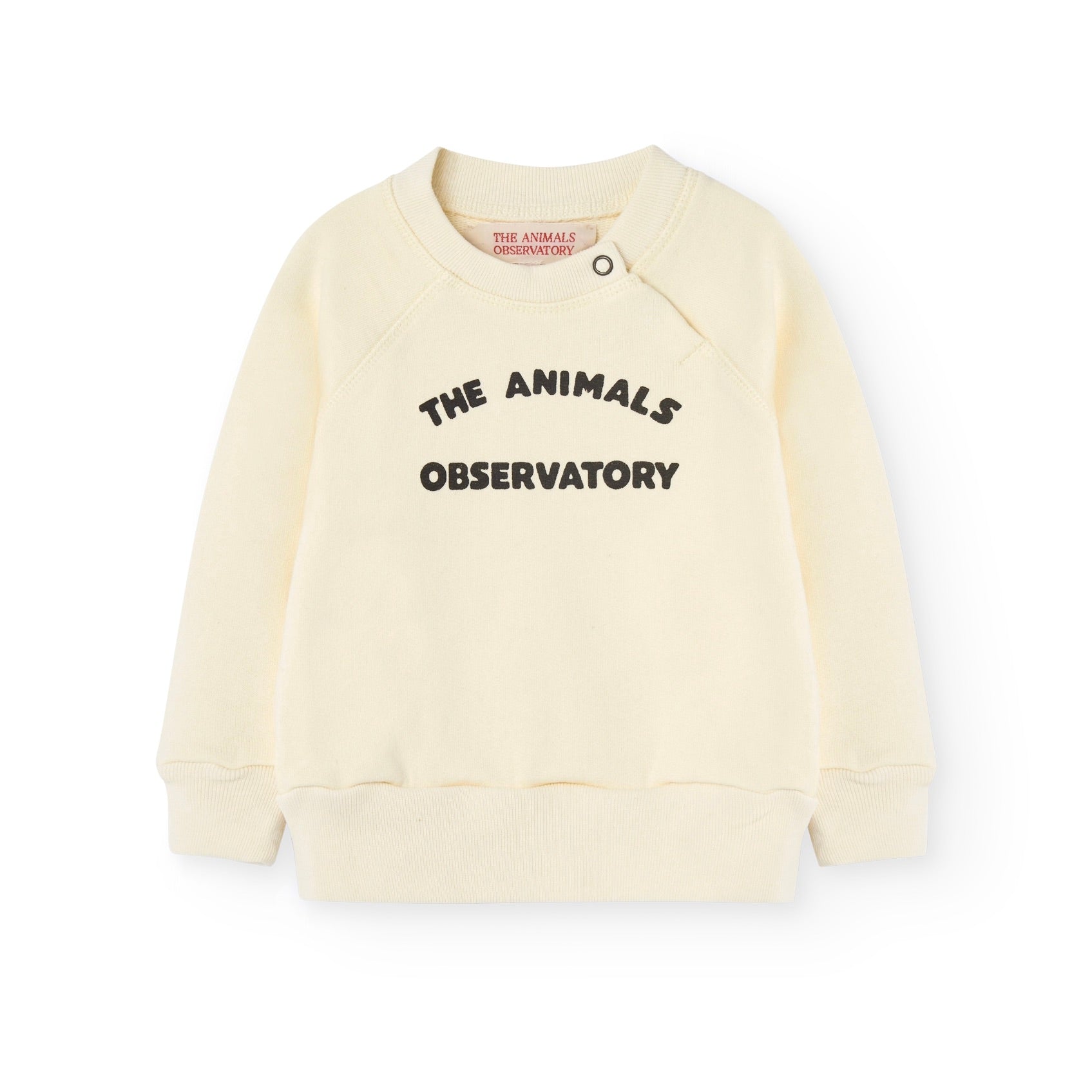 The Animals Observatory – Tagged 